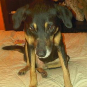 Meet your Posher, Diviya